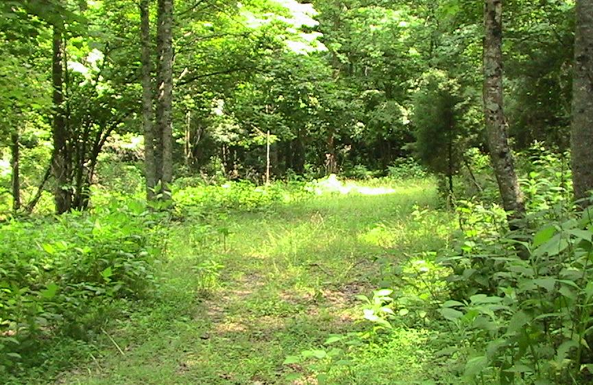 20_8homesite.jpg