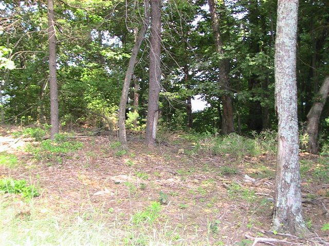 17_smalltract3homesite.jpg